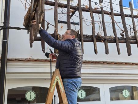 Rez trte MH Ljutomer (4)